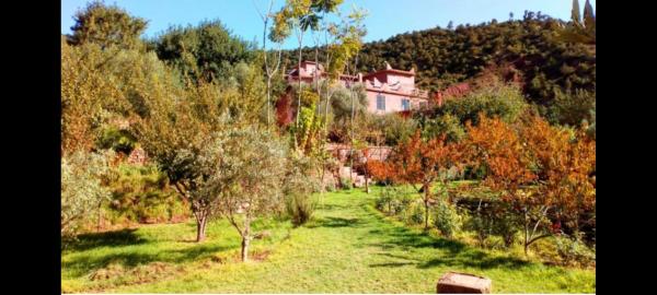 Ourika Timalizène le jardin des délices, Varaa Matkakoti Ourika 
