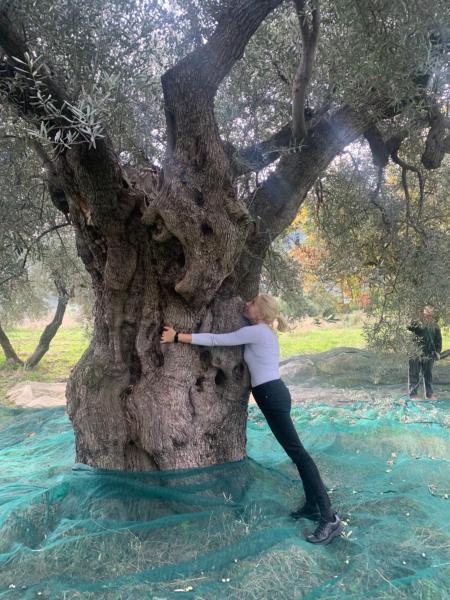 Villa Aurora, Varaa Villa Montegiordano Calabria