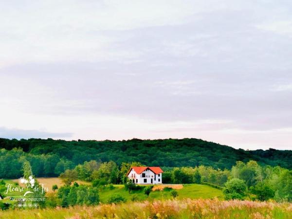 Agropensiunea Floare de Tei, Varaa Maatalousloma Hotellit Carpathians - Romania uima-altaalla, Uima-allas
