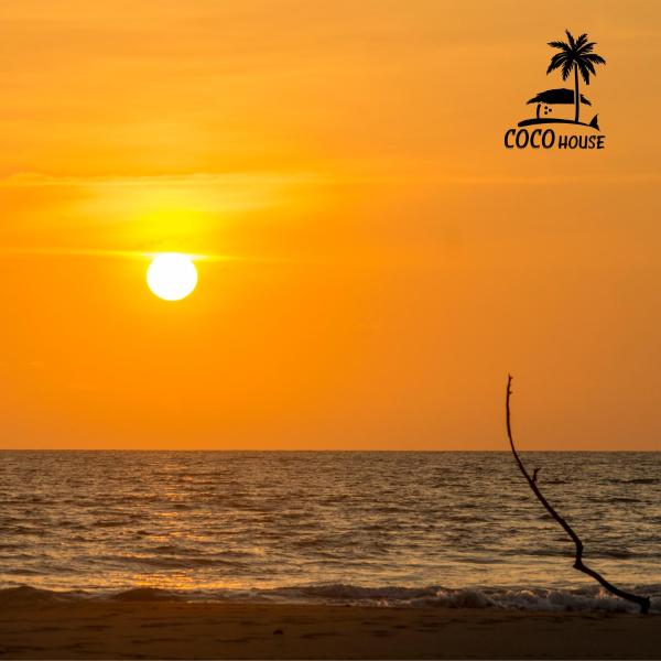 Coco House - Playa La Barra, Varaa Huoneisto La Barra Kolumbia