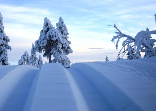 14 - Fulufjellets nasjonalparker - snø - alpint - langrenn - snøscooter, Varaa Lomakoti Trysil huvilat, Villa