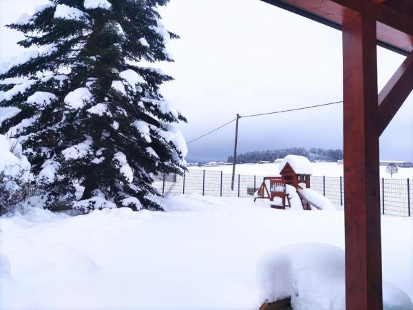 Ferienhaus am Hochficht Mühlviertel in Oberösterreich, Varaa Villa Freundorf Ylä-Itävalta