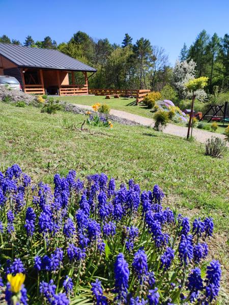 Roztocze, Domek Na Leśnym Wzgórzu nr2,Krasnobród,Zamość, Zwierzyniec, jacuzzi, Varaa Lomakoti Krasnobród 