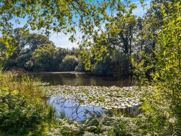 The Lodge At The Lake House, Varaa Lomakoti Ifold West Sussex
