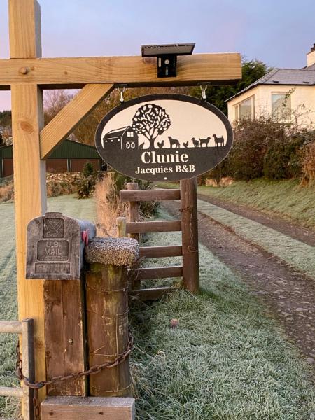 Jacquie's B&B -Dumfries-Room with a view, Varaa Bed and Breakfast Dumfries 