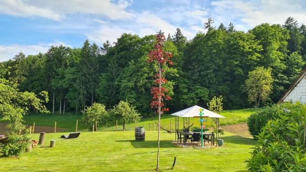 HOF-AREAL Südsteiermark Dein Ort für Poltergruppen & Hochzeiten, Varaa Maatalousloma Styria hotellit, joissa on uima-allas, Uima-allas
