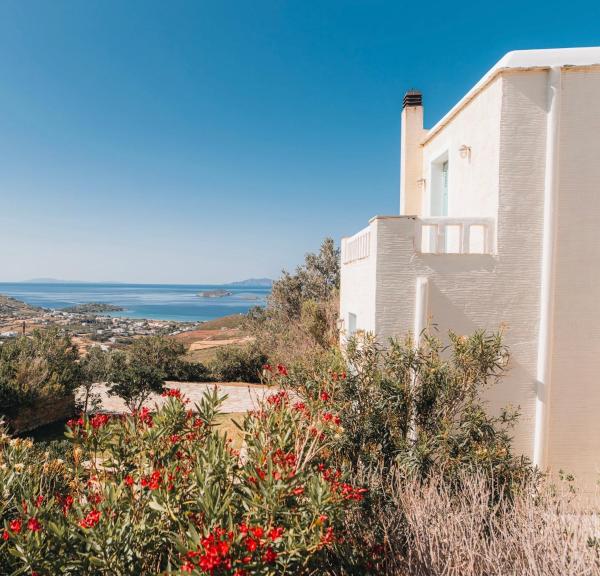 Villa Il Paradiso Andros, Varaa  Gavrio Andros Island