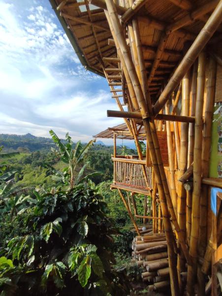 El Turpial, Varaa  Jerico Antioquia