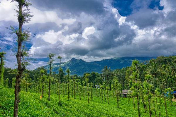 Ende Wayanad Resort, Varaa   