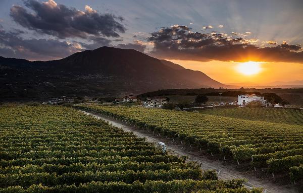 Giardino Delle Oche - Ocone Taburno Wine County, Varaa  Ponte hotellit, joissa on uima-allas, Uima-allas