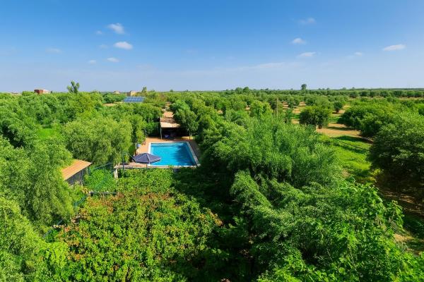 Eco Farm Tayssir Marrakech, Varaa  Hotellit Marrakech-Tensift-Haouz uima-altaalla, Uima-allas