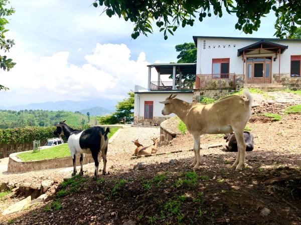 Amazi Land Home and Farm Stay, Varaa  Kibuye Gitsi