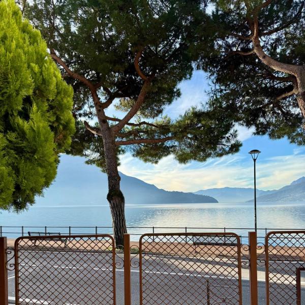 Vista Lago - Lake Como collection, Varaa  Domaso Como