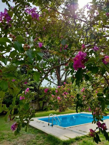 Villa indépendante avec piscine au rdc, Varaa  Hotellit Nyons uima-altaalla, Uima-allas