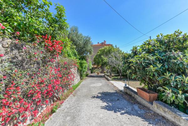 Giardino di Via del Ruotone, Varaa  Marciana Marina Elba