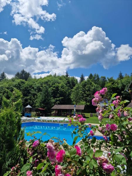 Pensiunea Andreea, Varaa  Hotellit Prahova Valley uima-altaalla, Uima-allas