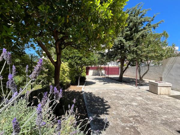 Villa Luce, Varaa  Bisceglie Apulia