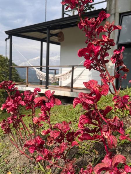 Cabañas Alondra - Hotel Boutique, Varaa  Vergara Cundinamarca