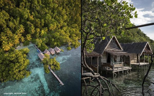 Nyandesner, Varaa  Pulau Mansuar 