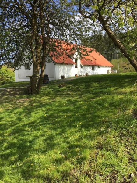Vacation home on the Half island Helgenæs, Varaa  Knebel 
