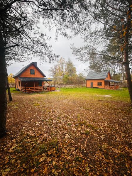 Bolek i Lolek domki do wynajęcia, Varaa  Popielżyn Dolny 