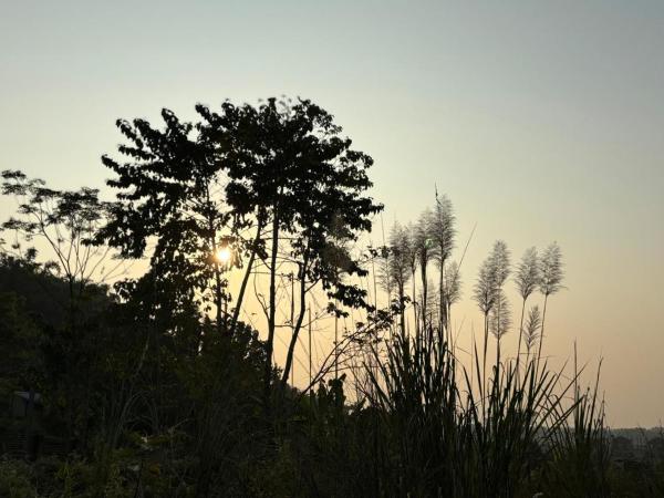 Teplong - The Paix, Kaziranga, Varaa  Kaolākhāt Assam