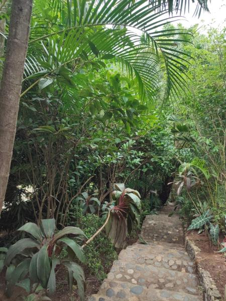 Hotel San Rafael, Varaa  Santa Marta Magdalena