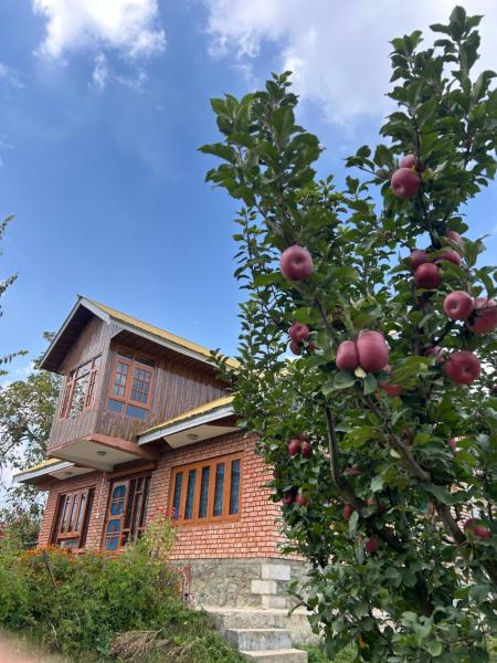 The Mool Farm and Living, Varaa  Tangmarg 