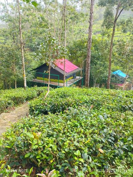 Organic Farmers Tent & Trekking, Varaa  Yedapalli Tamil Nadu