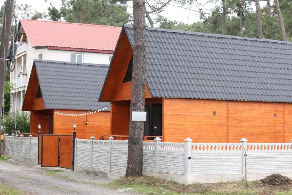 Cottage in Forest Wave - კოტეჯი ტყის ტალღებში, Varaa  Grigoleti 