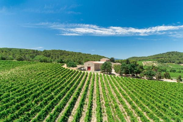 Château de Prax Viel - piscine et mini ferme, climatisé, Varaa  Lagrasse 