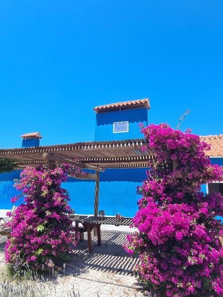 CasAzul Slow Stay in Nature, Varaa  Bicas Centro Region