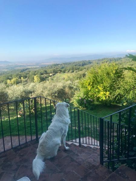 Agriturismo Campo al Crognolo, Varaa  Hotellit Sassofortino uima-altaalla, Uima-allas