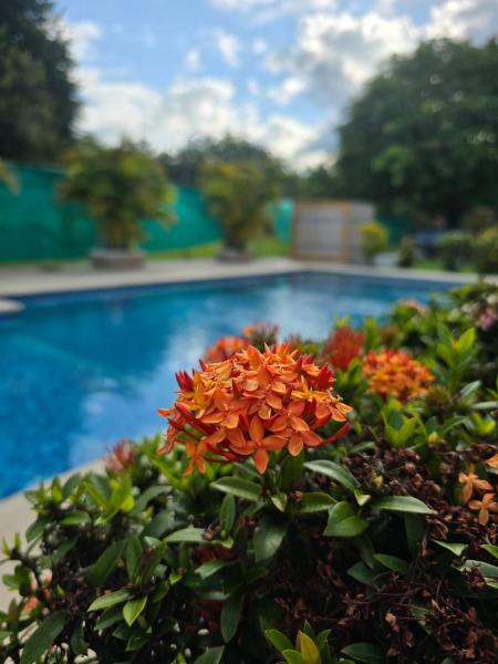 Cabañas la Familia, Varaa  Nueva Gorgona Panamá