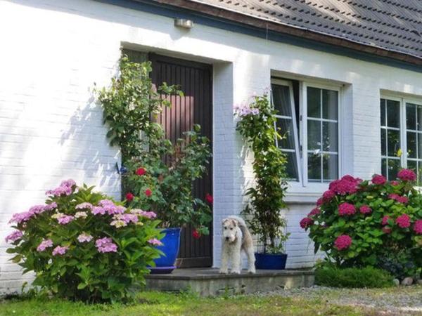 Haus Heversand, Varaa  Osterhever Schleswig-Holstein
