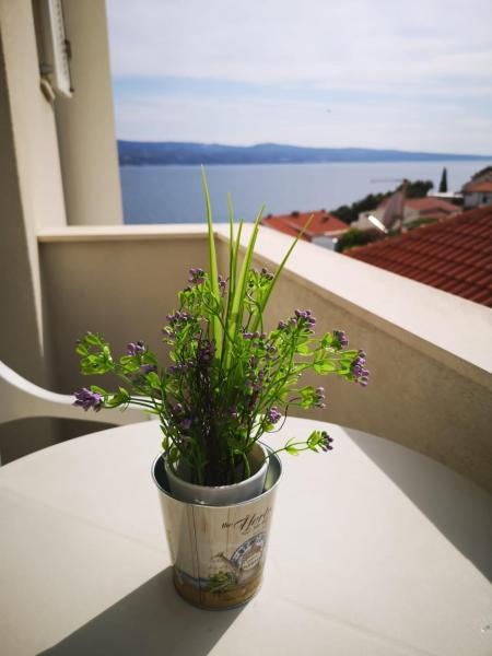 Anic Apartments Stanići, Varaa Huoneisto Split Region hotellit, joissa on pysäköinti, Pysäköinti