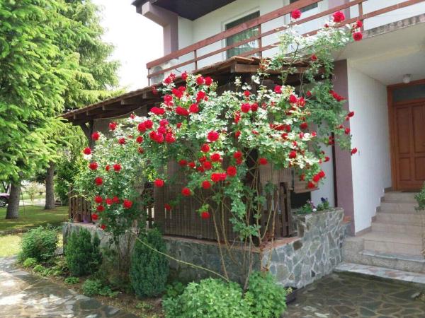 Riverside Villa Matka, Varaa Villa Skopje hotellit, joissa on uima-allas, Uima-allas