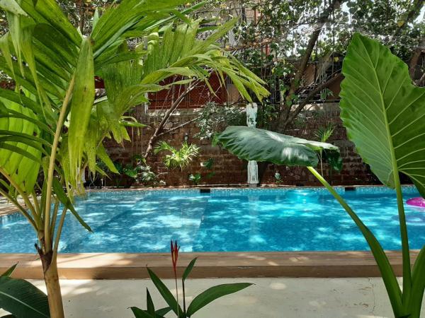 Anexx Goa